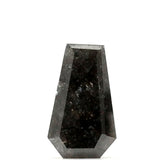1.38 Ct Coffin Shape Salt and Pepper Diamond