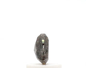0.50 Ct Trillion Cut Salt and Pepper Diamond
